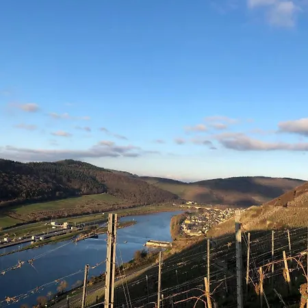 Apartamento Romantisches 4 Rosenburgblick In Moselnaehe Zeltingen-Rachtig
