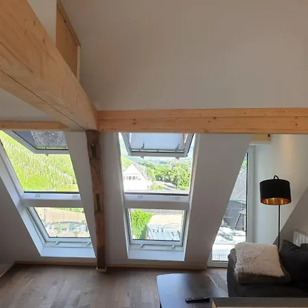 Apartamento Romantisches 4 Rosenburgblick In Moselnaehe Zeltingen-Rachtig