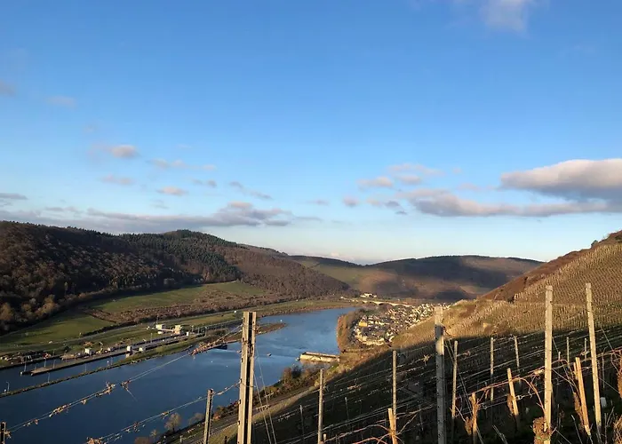 דירה Romantisches 4 Rosenburgblick In Moselnaehe זלטינגן-רכטינג