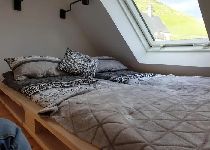 Romantisches 4 Rosenburgblick In Moselnaehe Apartamento Zeltingen-Rachtig